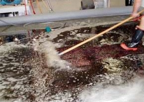 Factura Atravesar Isla de Alcatraz Mantenimiento y limpieza de alfombras persas | Mundo alfombra's Blog